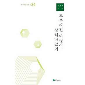 작가마을 꼬부라진 비명이 잘려나갔어 - 시인선 54