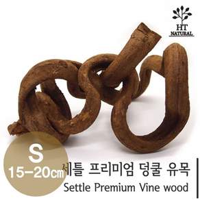 [4시30분이전당일발송] 세틀 덩쿨 유목 S 소 15cm~20cm