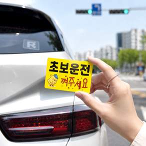 DMmade 초보운전 자석 차량용 스티커 포토 맞춤 제작 선물 귀여운 자동차 초보운전자 표시 마그넷