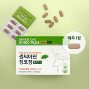 센씨아연 플러스 징코 정 은행잎 혈행 기억력 순환 장시간 서서 일하시는분