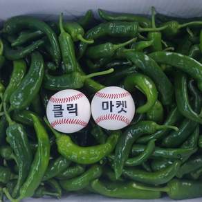 클릭마켓 오이고추 아삭이고추 못난이 풋고추 1kg 2kg 3kg