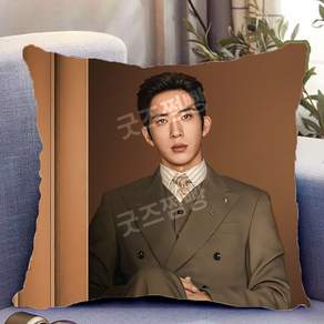 조춘청랑 정백연 굿즈 쿠션 징보란 포토 중국드라마 중드