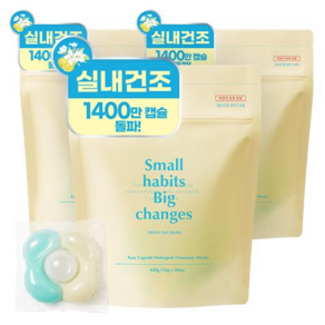 소소이지 이지 캡슐 세제 그리너리 머스크