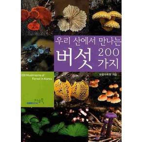 우리 산에서 만나는 버섯 200가지