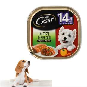 시저 반려견 주식캔 시니어 14세 이상 쇠고기와야채