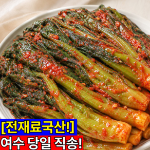 [첫출시특가] 당일수확 당일생산 여수돌산 갓김치