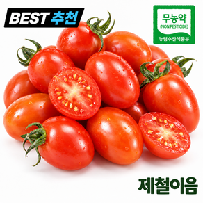 [초특가 중] 무농약 인증 대추방울토마토 탱글한 과육 산지직송 1~3번과