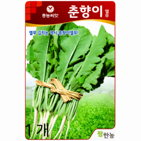 흥농씨앗 춘향이 열무 씨앗 도시근교 텃밭 주말농장 김치채소 종자