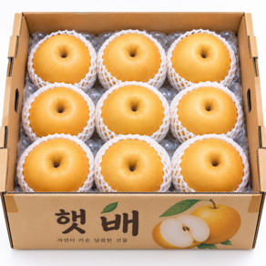 [하루특가] 고당도 국산 배 햇배