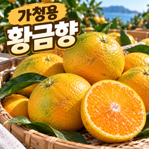 [2주한정특가] 제주 황금향 고당도 가정용