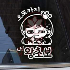 혜명몰 자동차스티커 오또카지 나왕초보 화이트시트지
