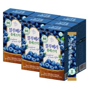 홀라이프 블루베리 퓨레 스틱