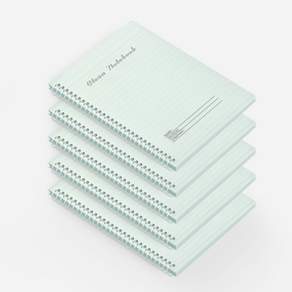 먼지없는 클린 페이퍼 A6 무진지 스프링노트 특수가공지 50매 5권 1팩 105x148mm