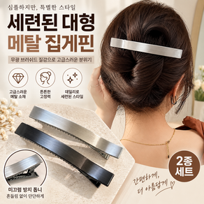 세련된 대형 무광 메탈 브러쉬드 집게핀 2종 세트