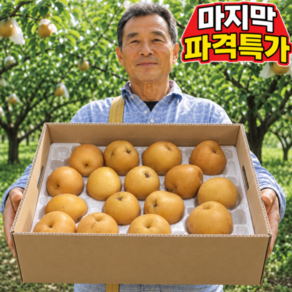 [노마진특가] 가정용 고당도 26년햇 나주배