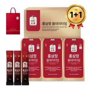 [1+1] 홍삼정 6년근 올데이타임 홍삼스틱 선물세트 쇼핑백포함