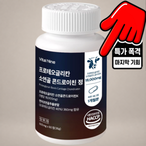 프로테오글리칸 소연골 콘드로이친K 연어코연골 600mg