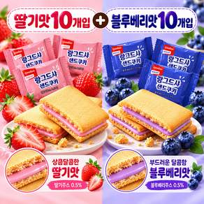 랑그드샤 샌드쿠키 딸기맛 +블루베리맛 323g 수입과자