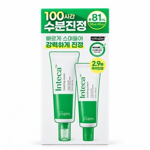 메이크프렘 인테카 수딩 크림