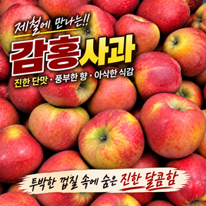 [당도폭발] 감홍사과 양광 부사 제철 햇 사과 가정용