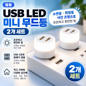 [엠동] USB LED 미니 무드등 2개 세트 USB 2포트 분배기 겸용 수면등 취침등 야간 조명