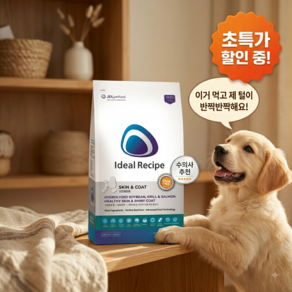 아이디얼레시피 강아지 스킨앤코트 건식사료