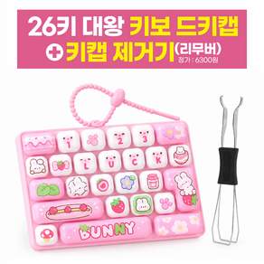 밍키마켓 26키 대왕 키보드 키캡 5컬러 키보드 제거기 사은품