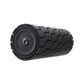 테라바디 진동 폼롤러 Wave Roller