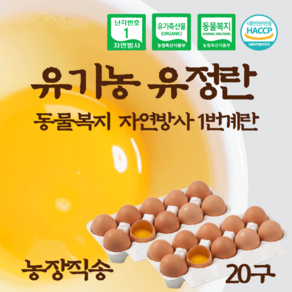 올계 유기농 유정란 난각 번호 1번 동물 복지 자연 방사 항생제 사용하지 않은 계란 달걀