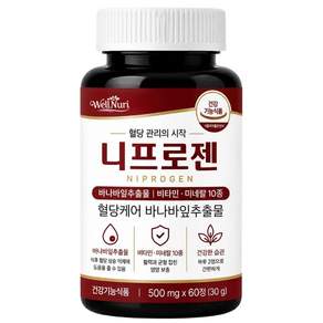 니프로젠 혈당 스파이크 프리미엄 식약청인증 웰누리