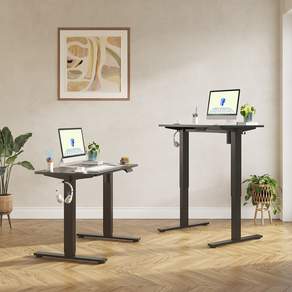 FlexiSpot 전동 모션데스크 EF1 컴퓨터책상 높이조절책상 A/S 5년 높이690-1100mm 학생책상 낮은 높이 사무실책상 게이밍책상