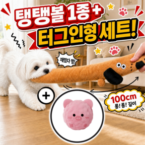 댕냥리안 튼튼한 애착 인형 + 탱탱볼 강아지 장난감 터그인형 터그놀이