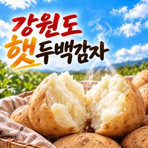 국내산 강원도 햇감자 두백감자 산지직송