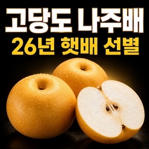고당도 나주배 5kg 나주 원황배 황금배 신고배 햇배