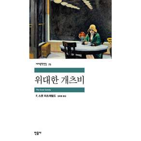 위대한 개츠비, 민음사, 글