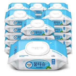 깨끗한나라 페퍼민트 엠보싱 물티슈 캡형