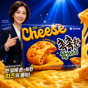 오리온 촉촉한황치즈칩 16p