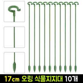 고리형 원예 화분 지주대 오링 식물 지지대 17cm