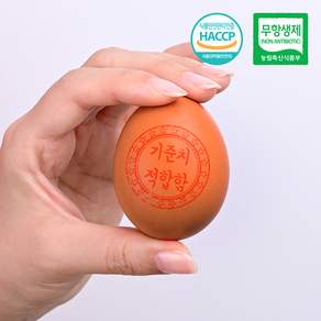 무항생제신선계란 당일생산당일출고 초신선 초란 HACCP 60구 청라골드계란