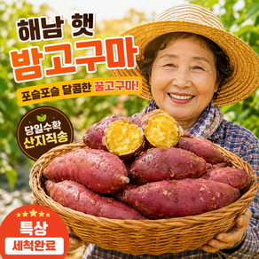 해남 햇 밤고구마 포슬포슬 달콤 특상 세척 꿀고구마 제철