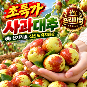[원이네] 산지직송 고당도 사과대추 대추 사과