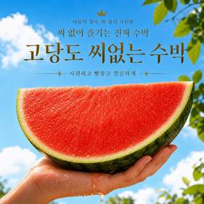 [선착순초특가] 유명농가 고당도 씨없는 수박