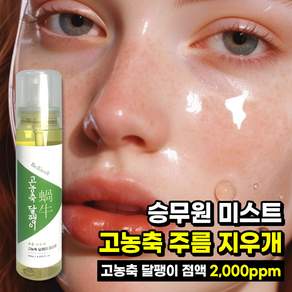 콜라겐 미스트 세럼 고농축 주름 지우개 리엑셀 미스팩 얼굴 수분 달팽이 미스트 mist