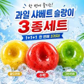 피나클 과일 샤베트 슬랑이 말랑이 스퀴시 3종 세트