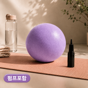LIVINGFORE 필라테스 미니 짐볼 요가볼 미니볼