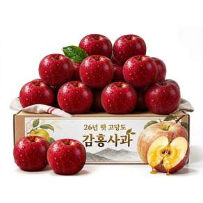 [26년출하특가] 매일100박스한정 당도선별 고당도 문경 안동 감홍사과