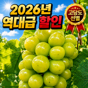 [초특가 할인] 차원이 다른 고당도 샤인머스캣 청포도 산지직송