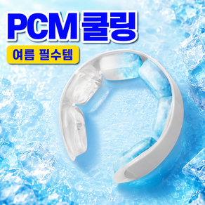 블리어 PCM 아이스팩 쿨링 넥밴드 재사용 여름 목걸이