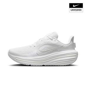 나이키 W 윈플로 12 HV9273-103