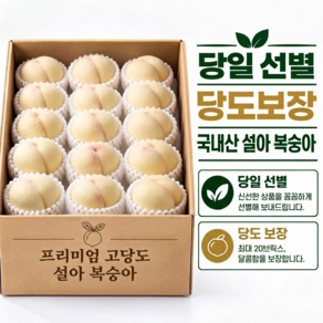 [최대 20brix] 프리미엄 국내산 고당도 설리 설도 설아 복숭아